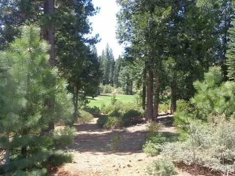 152 Treetop Cir, Lake Almanor, CA 96137