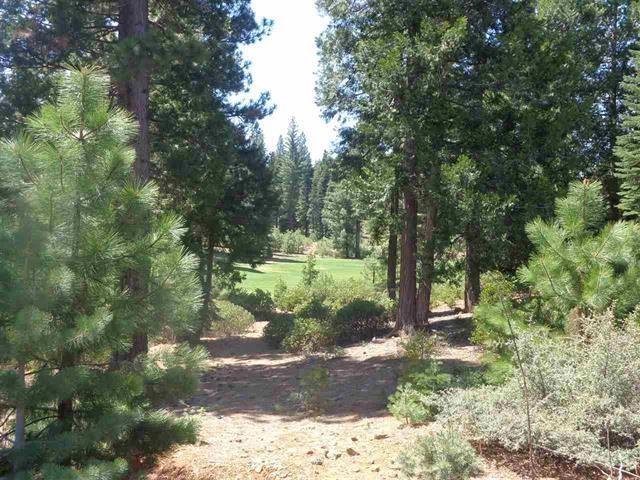 152 Treetop Cir, Lake Almanor, CA 96137