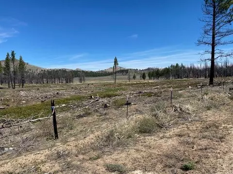 631 Sugarloaf Rd, Doyle, CA 96122