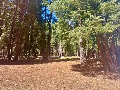 661 E Mountain Ridge Rd #18, Lake Almanor, CA 96020