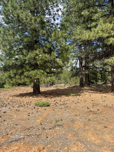 55 Creekhaven Dr, Lake Almanor, CA 96137