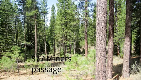 877 Miners Psge, Clio, CA 96106