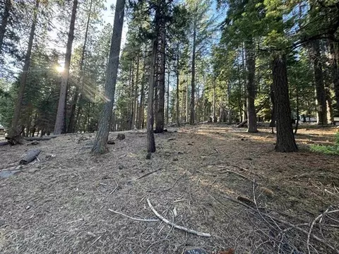673 E Mountain Ridge Rd, Lake Almanor, CA 96137