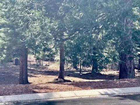 85 Fox Ridge Dr, Lake Almanor, CA 96137