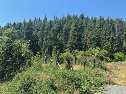 Other - 992 Rush Creek Rd, Twain, CA 95984 photo 5 of 9