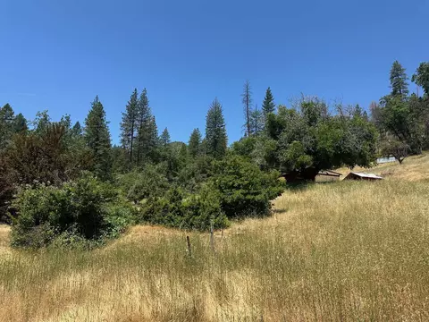 Exterior - 992 Rush Creek Rd, Twain, CA 95984 photo 12 of 16