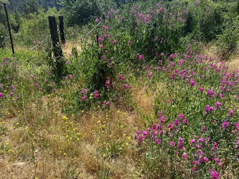 Other - 992 Rush Creek Rd, Twain, CA 95984 photo 8 of 9