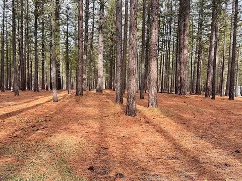 4955 Clio State 40a Rd, Delleker, CA 96122 photo 2