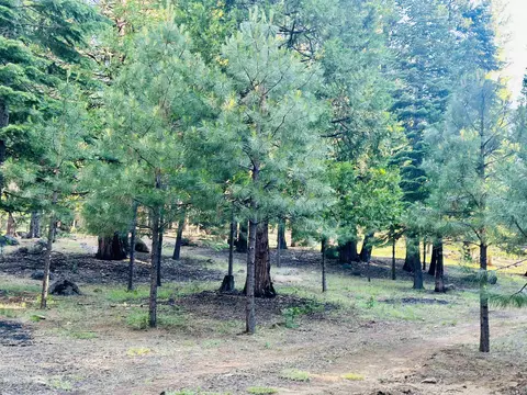 275 Osprey Loop #5, Lake Almanor West, CA 96020