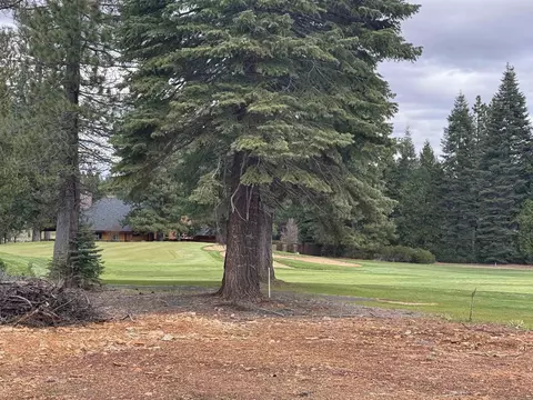 99 Dinsmore Dr, Lake Almanor, CA 96137