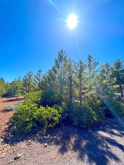 239 Walsh Ct, Lake Almanor, CA 96137