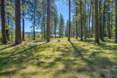 Exterior - 13 Graeagle Meadows Rd, Graeagle, CA 96103 photo 9 of 14