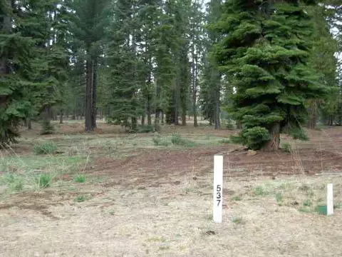 36 Winterwood Dr, Lake Almanor, CA 96137