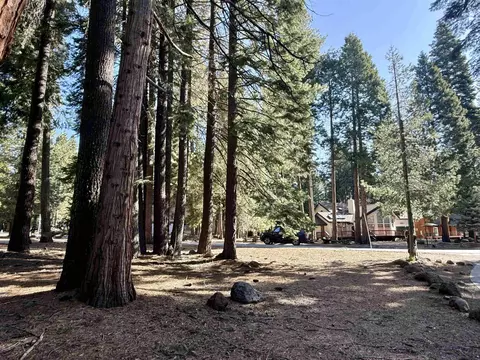 731 Conifer Trl, Lake Almanor, CA 96137