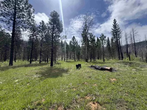 319 Round Valley Rd, Greenville, CA 95947