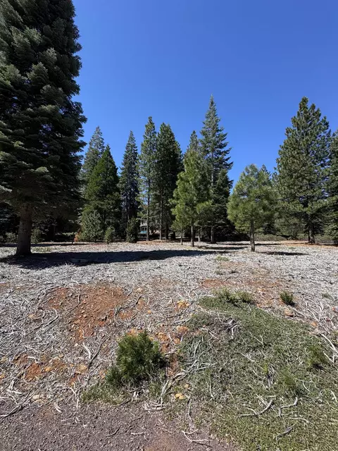 356 Dinsmore Dr, Lake Almanor, CA 96137