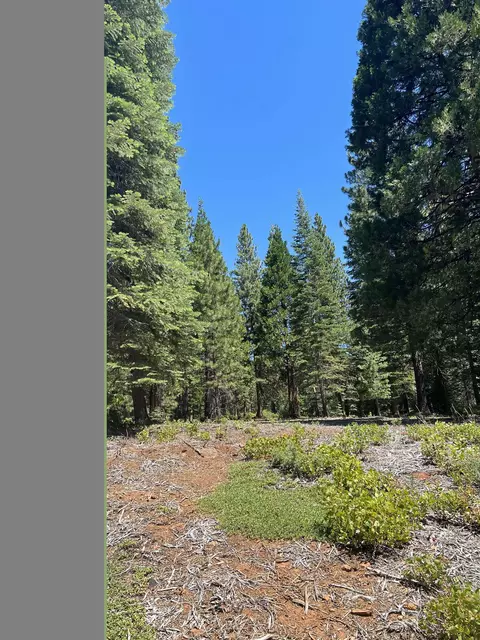 105 Fox Head Dr, Lake Almanor, CA 96137