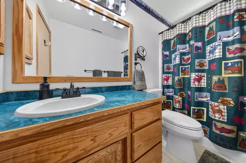 Bath - 326 Osprey Loop, Lake Almanor West, CA 96020 photo 4 of 4