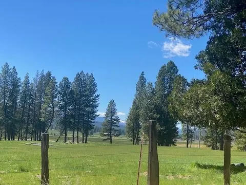 581 Redtail Loop, Clio, CA 96106 photo 2