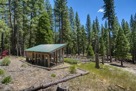 Exterior - 1301 Ringtail Ct, Clio, CA 96106 photo 2 of 11