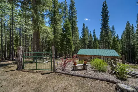 Exterior - 1301 Ringtail Ct, Clio, CA 96106 photo 6 of 11
