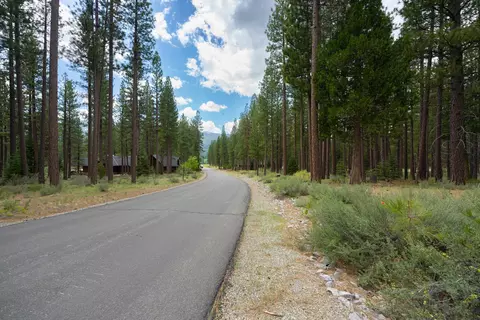 573 Bobcat Trl, Clio, CA 96106 photo 3
