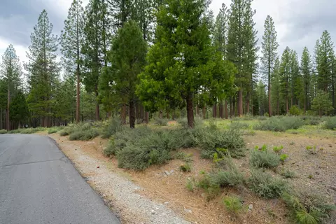 573 Bobcat Trl, Clio, CA 96106 photo 2