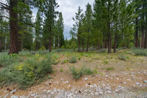 573 Bobcat Trl, Clio, CA 96106