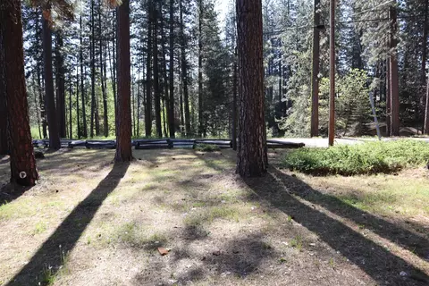 162 Pineleaf Dr, Meadow Valley, CA 95956 photo 19