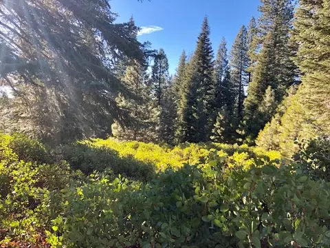 50 Fox Peak Dr, Lake Almanor, CA 96137