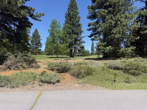 234 Idylberry Dr, Lake Almanor, CA 96137