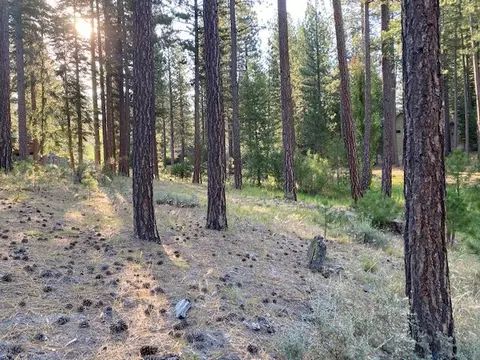 235 Black Bear Trl #VI, Clio, CA 96106