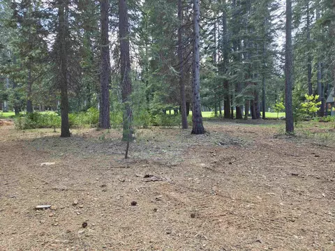 254 Lake Almanor West Dr, Chester, CA 96020