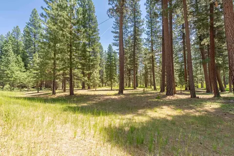 Exterior - 97 Main St, Calpine, CA 96124 photo 17 of 18