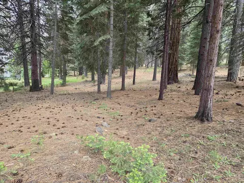 260 Osprey Loop, Lake Almanor West, CA 96020