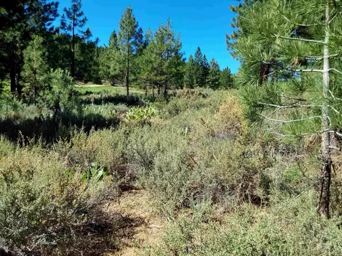 1175 Great Spirit #16, Portola, CA 96122