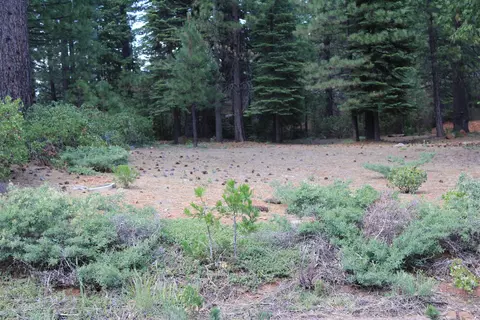 822 Red River Dr, Lake Almanor, CA 96137