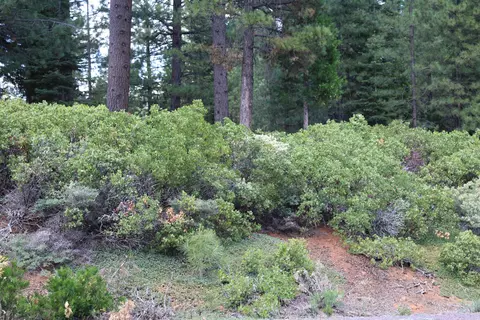 838 Red River Dr, Lake Almanor, CA 96137