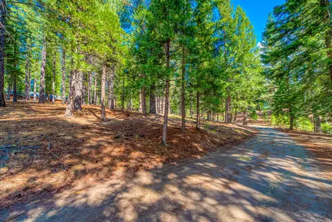 954 Red Fox Rd, Clio, CA 96106