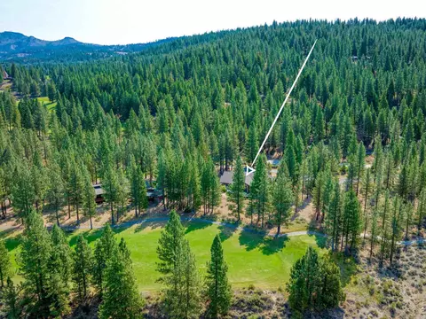 View/Area - 78 Bluff Vw, Clio, CA 96106 photo 2 of 3