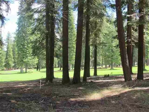 157 Slim Dr, Lake Almanor West, CA 96020