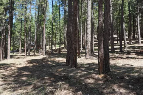 397 Main Ranch Rd, Quincy, CA 95971