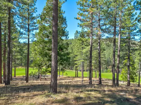 205 Red Hawk, Portola, CA 96122