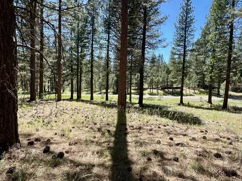 1855 Valley Ranch Dr, Clio, CA 96106 photo 20
