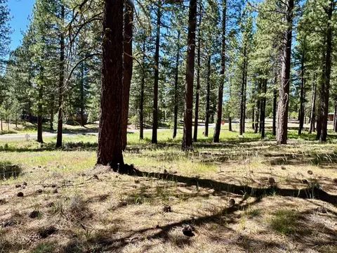 1855 Valley Ranch Dr, Clio, CA 96106 photo 19
