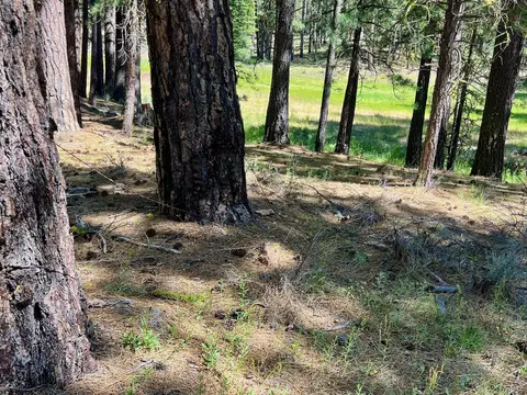 1855 Valley Ranch Dr, Clio, CA 96106 photo 22