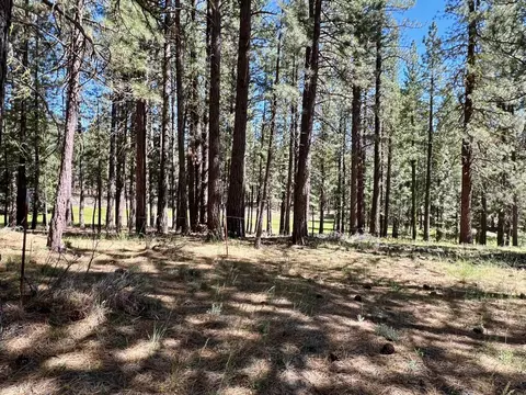 1855 Valley Ranch Dr, Clio, CA 96106 photo 18