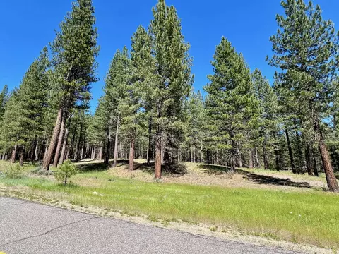 1855 Valley Ranch Dr, Clio, CA 96106 photo 10