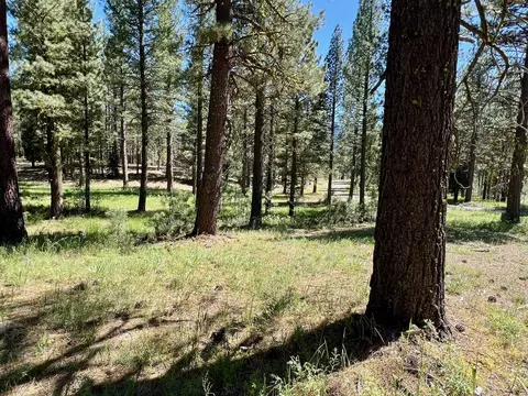1855 Valley Ranch Dr, Clio, CA 96106 photo 3
