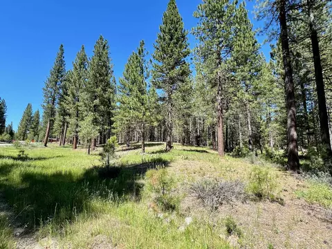 1855 Valley Ranch Dr, Clio, CA 96106 photo 8
